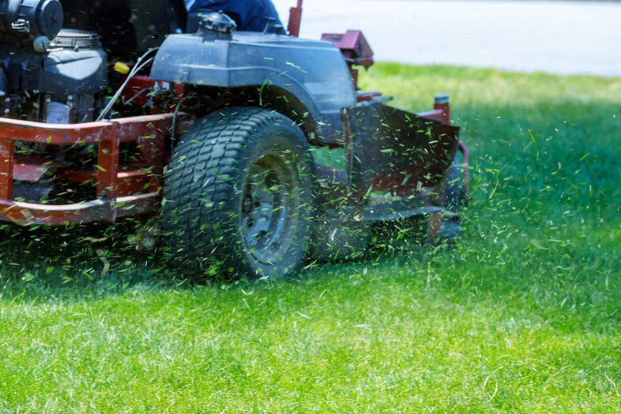 Push or Ride? How to Pick the Best Mower for Your Yard
