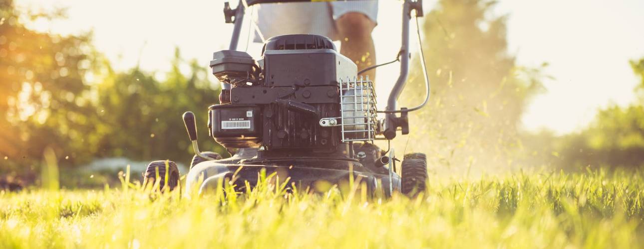 Organic Lawn DIY: Why You NEED a Reel Mower
