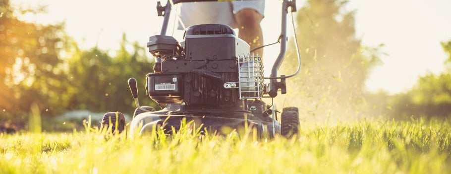 Lawn Mowing Tips: Reel Mowers vs. Rotary Mowers