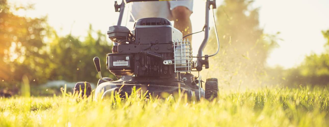 Reel Mowers vs. Rotary Mowers