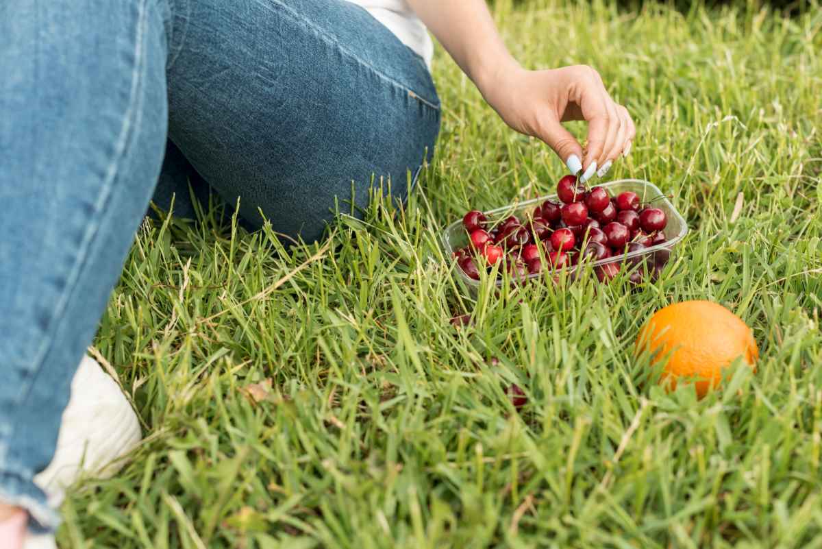 remove-bermuda-grass-from-st-augustine
