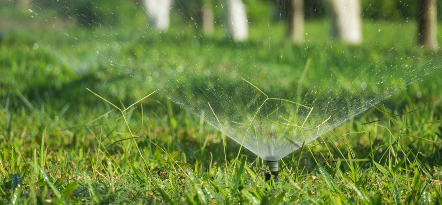 Should You Water Your Lawn in Winter?