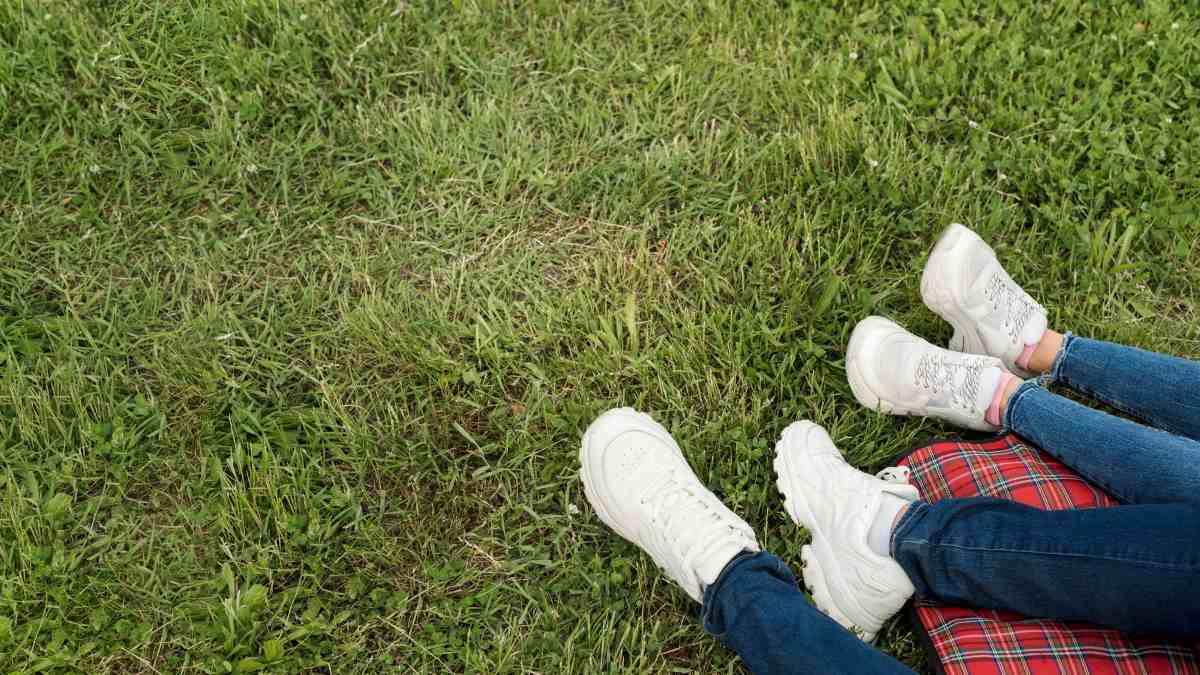 signs-of-drought-stress-in-lawns