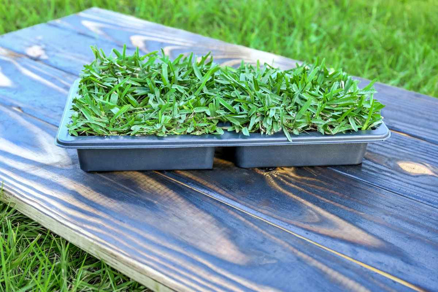 The Mega Solution to Lawn Rejuvenation: Introducing SodPods® MEGA