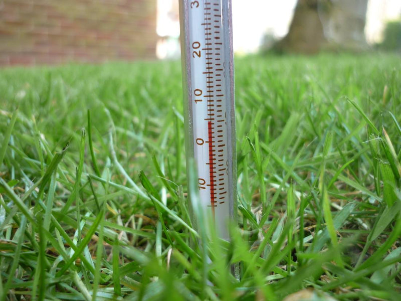 How Soil Temperature Affects Grass Plug Establishment