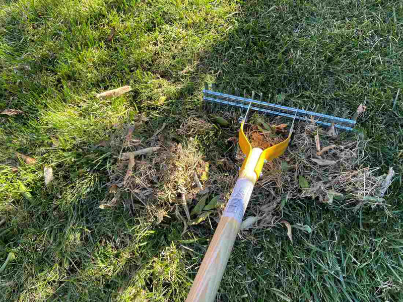 Winter-Stressed Lawn: Steps for a Healthy Spring Recovery