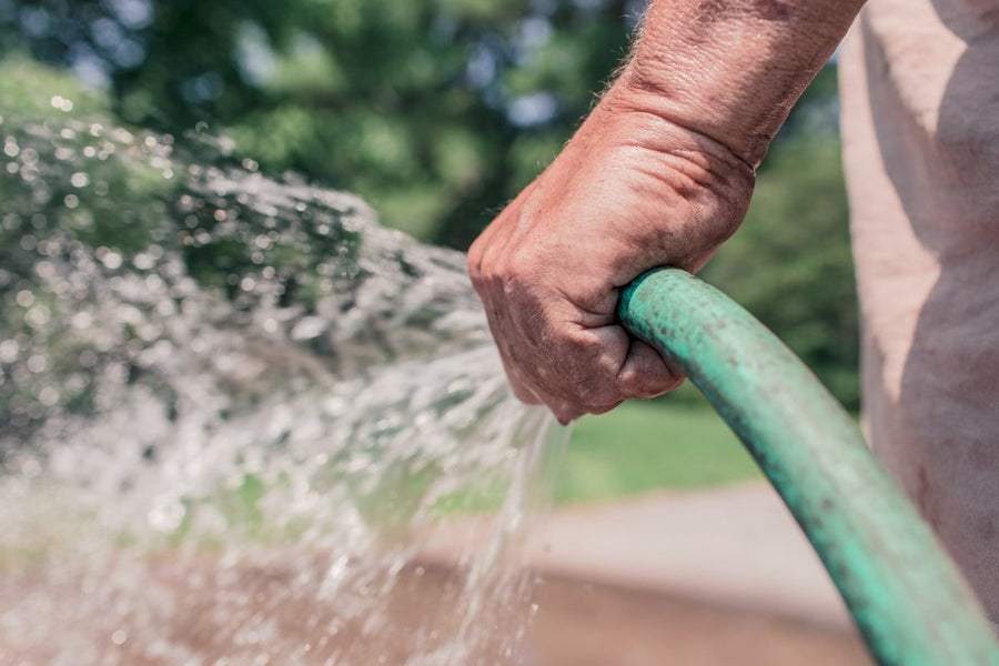 Spring Watering Guide: How to Transition Lawn from Dormancy