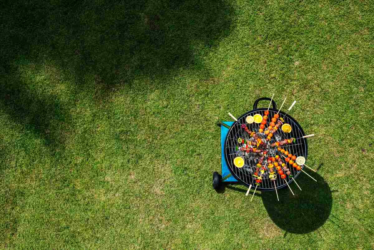 summer-lawn-care-tips