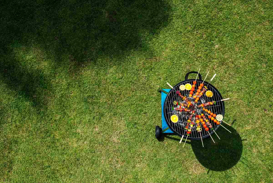 5 Best Tips for Summer Lawn Care