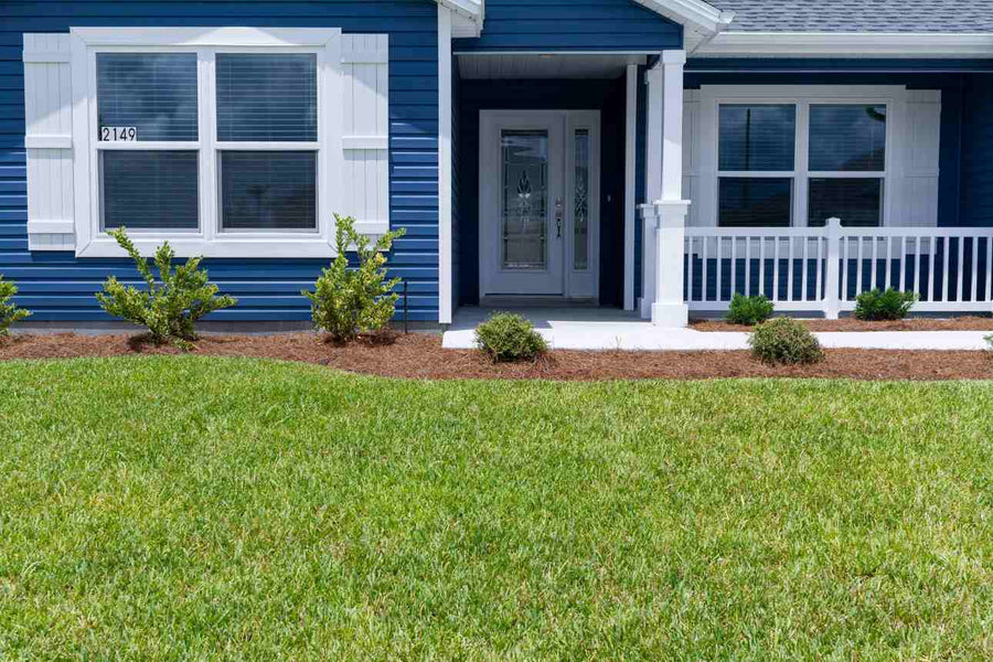 5 Things to Know About ProVista™ St. Augustine Grass