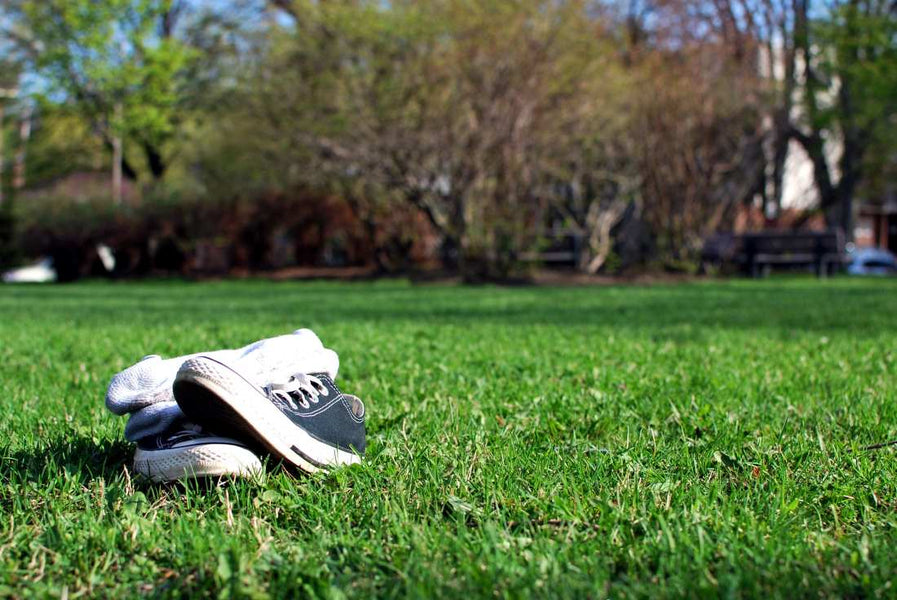 Soft Lawn, Happy Kids: Best Grass for Barefoot Play