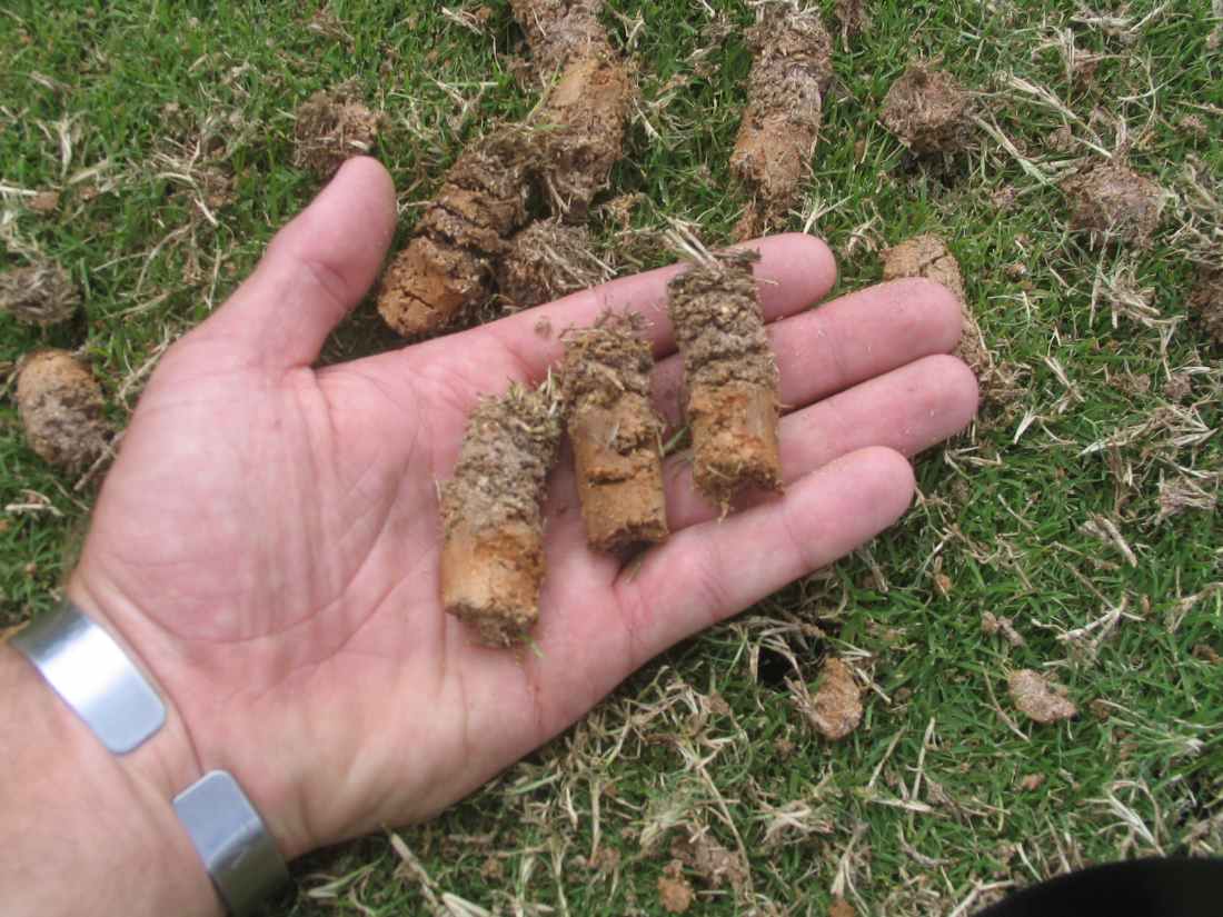 what-to-do-with-dirt-plugs-after-core-aeration-aerating-lawn