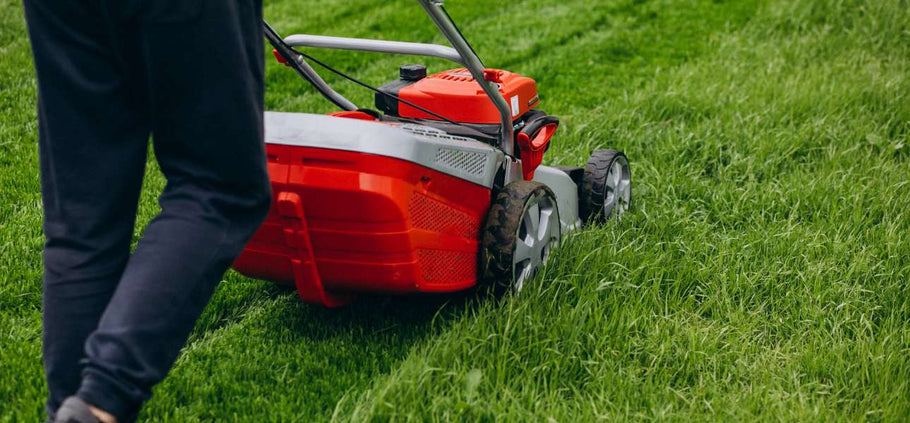 When Should You Not Mow Your Lawn?