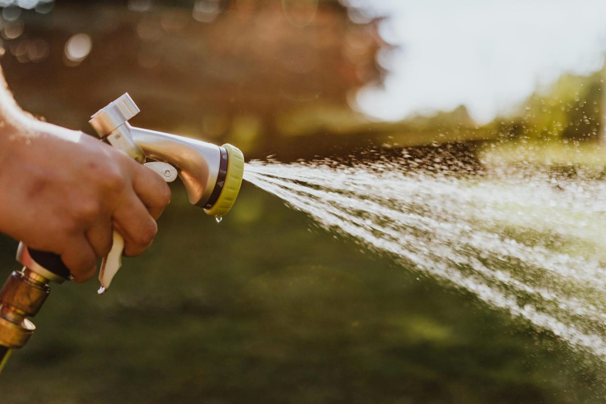 when-to-stop-watering-your-lawn
