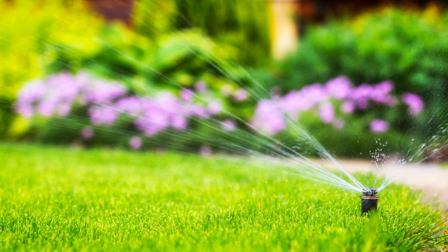 Is it Too Hot to Water Your Grass?