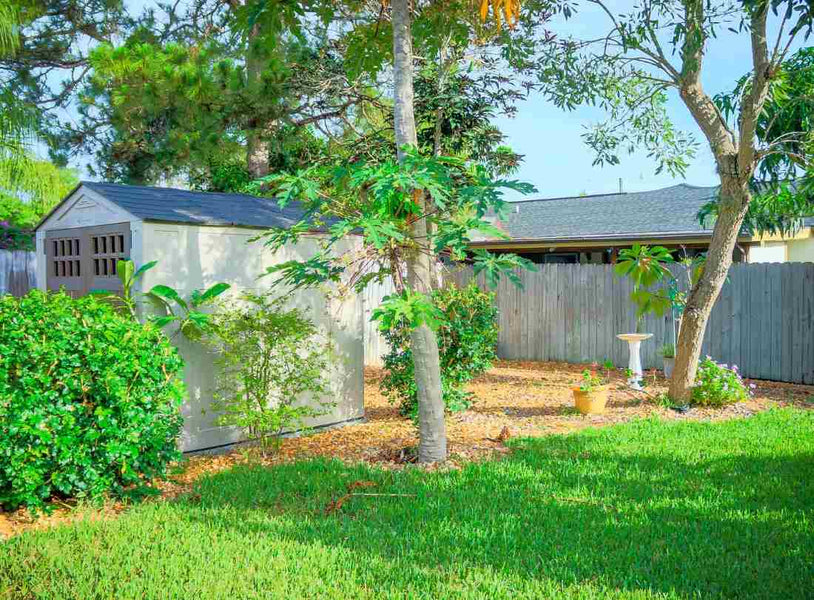 Grass Growing Slowly? Here’s Why Your Lawn is Struggling