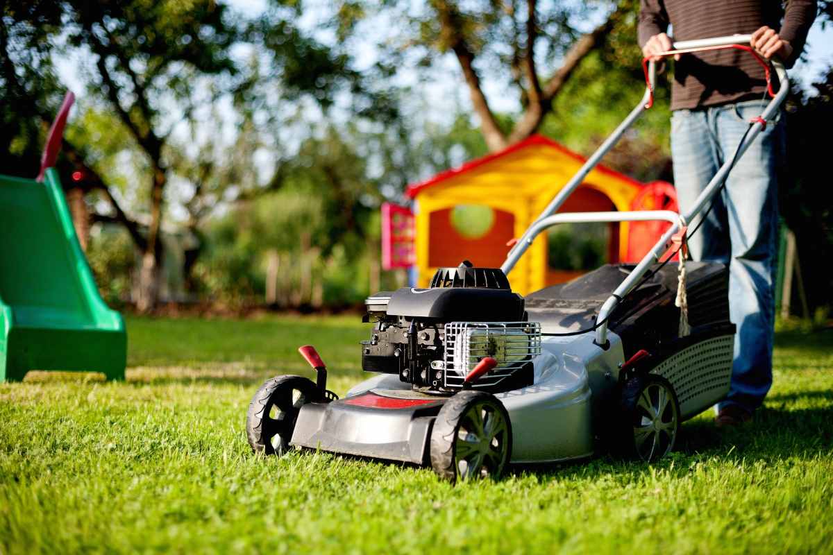 winter-lawn-maintenance-tasks