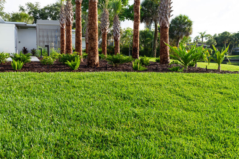 Step-by-Step Planting Tutorial