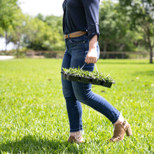Load image into Gallery viewer, SodPods® St. Augustine CitraBlue® Grass Plugs with Power Planter Auger and NutriPod® Plant Food
