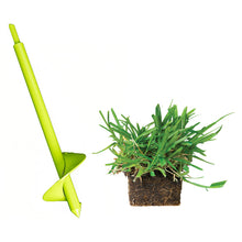 Load image into Gallery viewer, SodPods® St. Augustine Floratam Grass Plugs with Power Planter Auger
