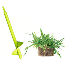 Load image into Gallery viewer, SodPods® St. Augustine Palmetto® Grass Plugs with Power Planter Auger and NutriPod® Plant Food
