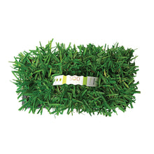 Load image into Gallery viewer, Scotts® ProVista™ St. Augustine Grass Plugs/SP Power Planter/NutriPod Bundle
