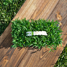 Load image into Gallery viewer, SodPods® St. Augustine Seville Grass Plugs with Power Planter Auger

