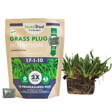 Load image into Gallery viewer, SodPods® Bermuda Grass Plugs with NutriPod® Plant Food.

