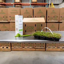 Load image into Gallery viewer, SodPods® Centipede Grass Plugs with Power Planter Auger
