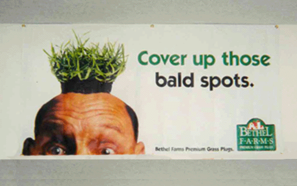 bethel-fill-bald-lawn-spots