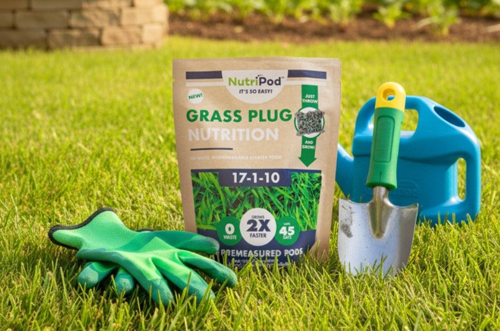 grass plug fertilizer