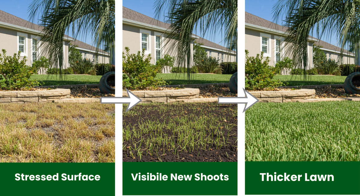 lawn-transitions
