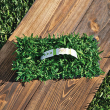 Load image into Gallery viewer, SodPods® St. Augustine Palmetto® Grass Plugs with Power Planter Auger and NutriPod® Plant Food
