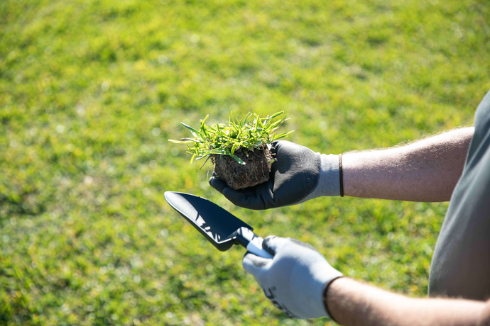 SodPod Planting Lifeshot