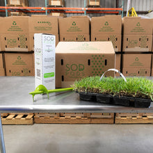 Load image into Gallery viewer, SodPods® Zoysia Grass Plugs with Power Planter Auger and NutriPod® Plant Food

