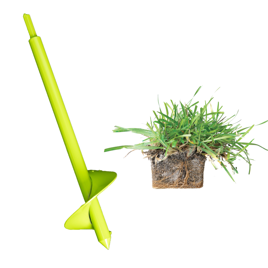 Centipede Grass Plugs & Power Planter SodPods®