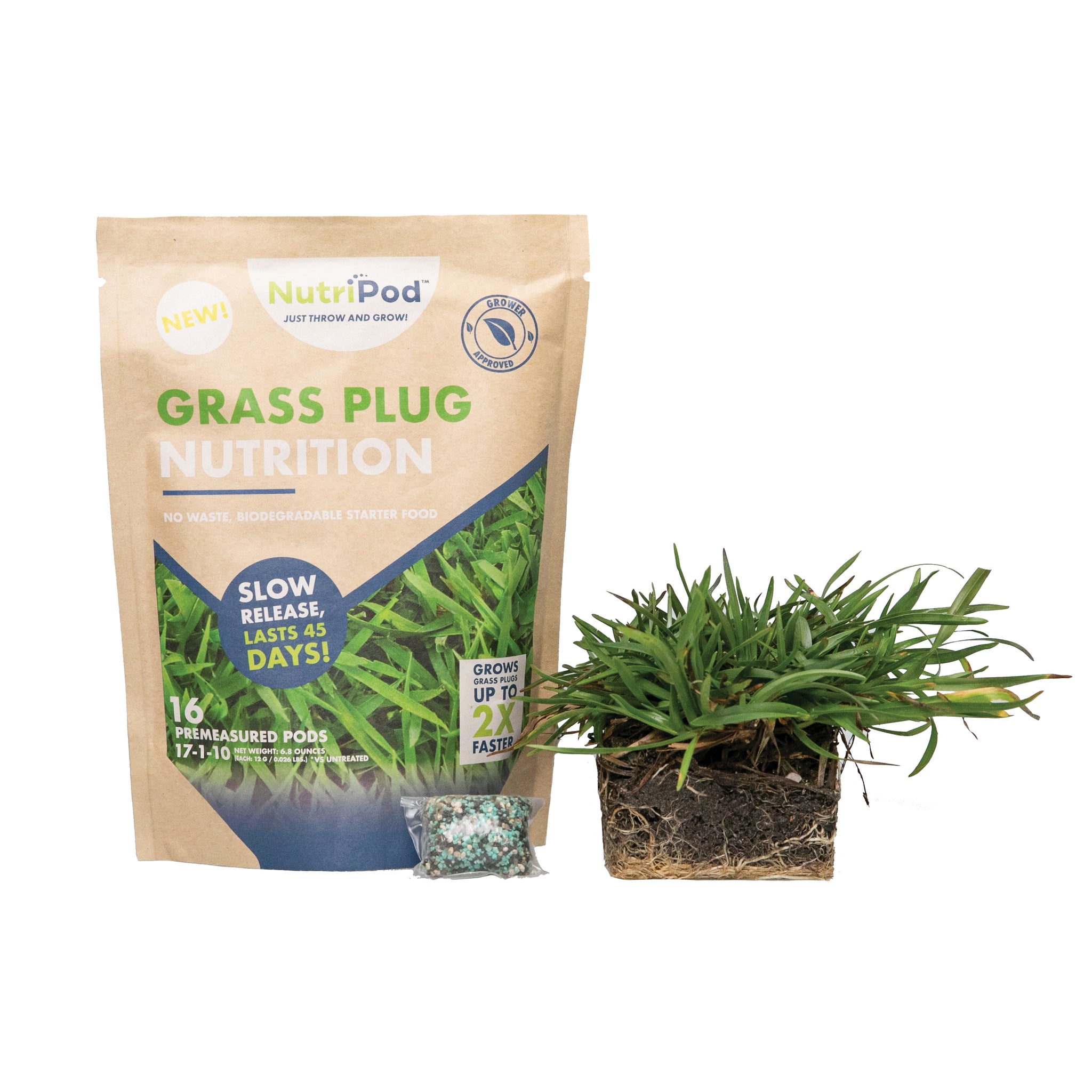 plant centipede seed Centipede Grass Plugs & NutriPod Fertilizer Pack