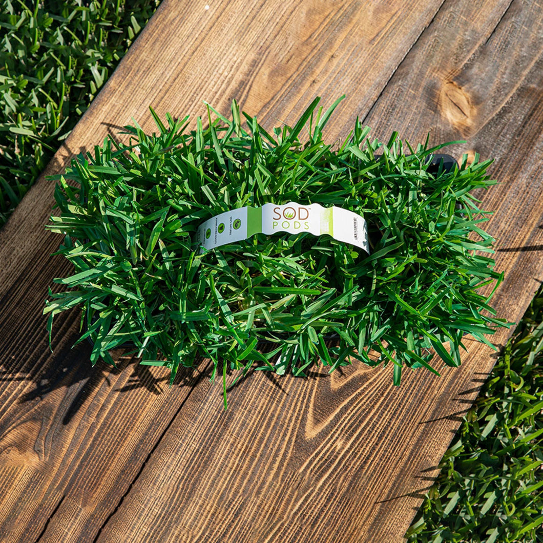 SodPod Floratam Tray