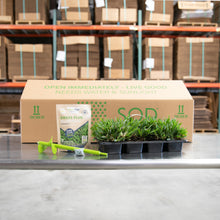 Load image into Gallery viewer, Palmetto St Augustine Grass Plugs/SP Power Planter/NutriPod Bundle
