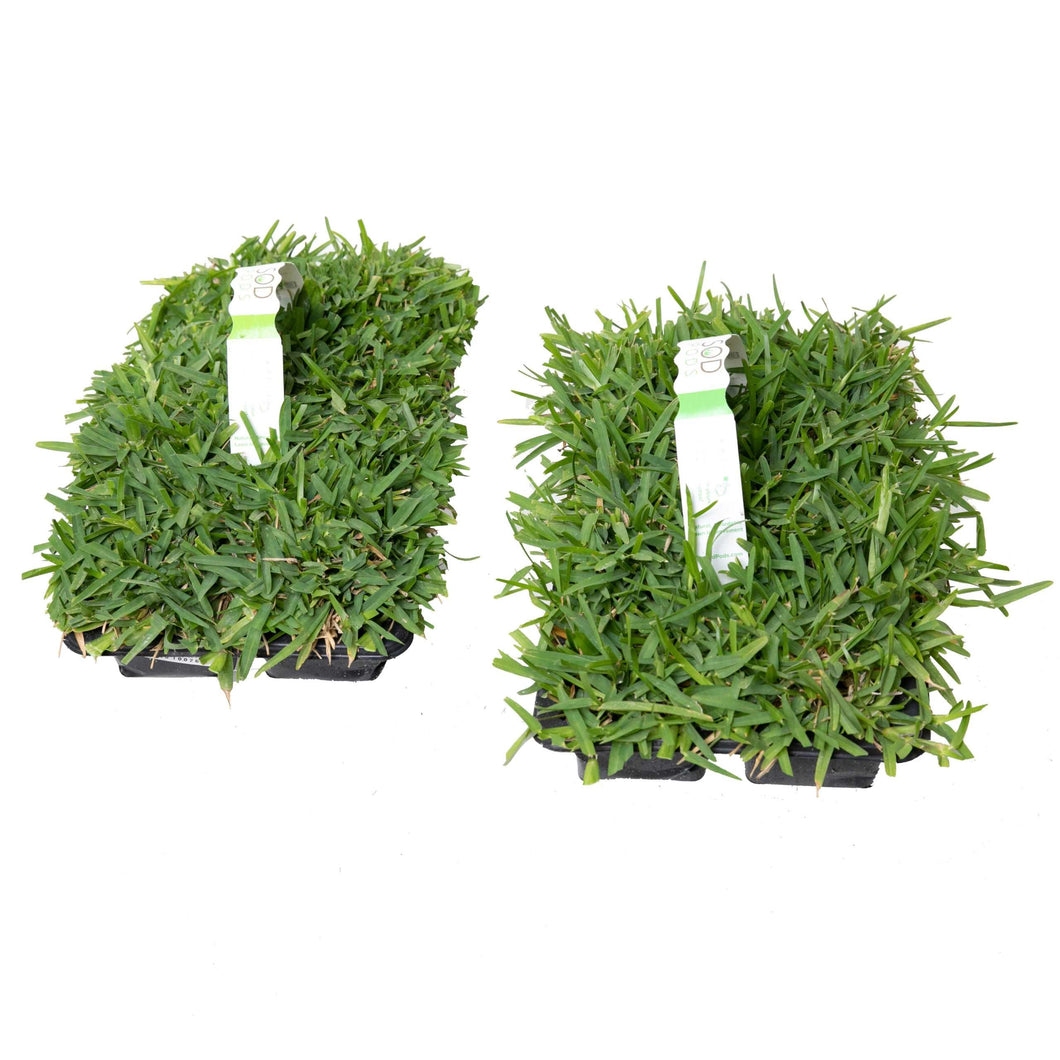 SodPod Sun & Shade Trays White BG